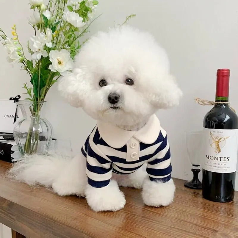 Cute dog polo shirt with striped collar for male puppy, breathable fabric, black colour