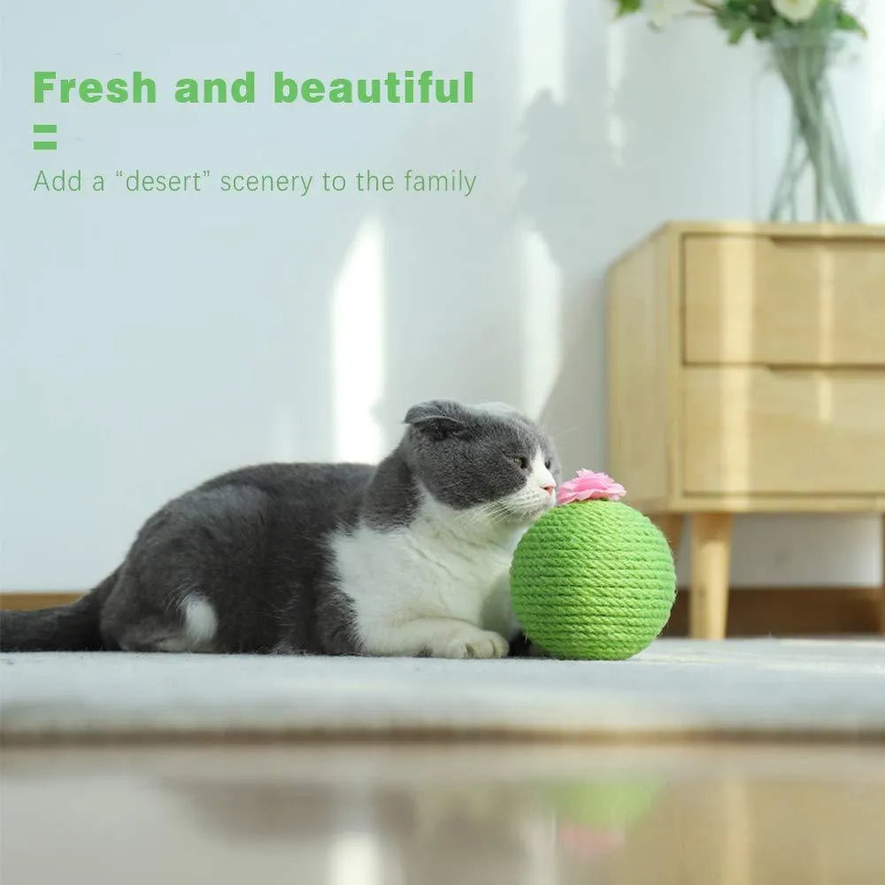 Green cactus-shaped cat scratcher with sisal scratching surfaces and attached tumbler balls containing catnip toys