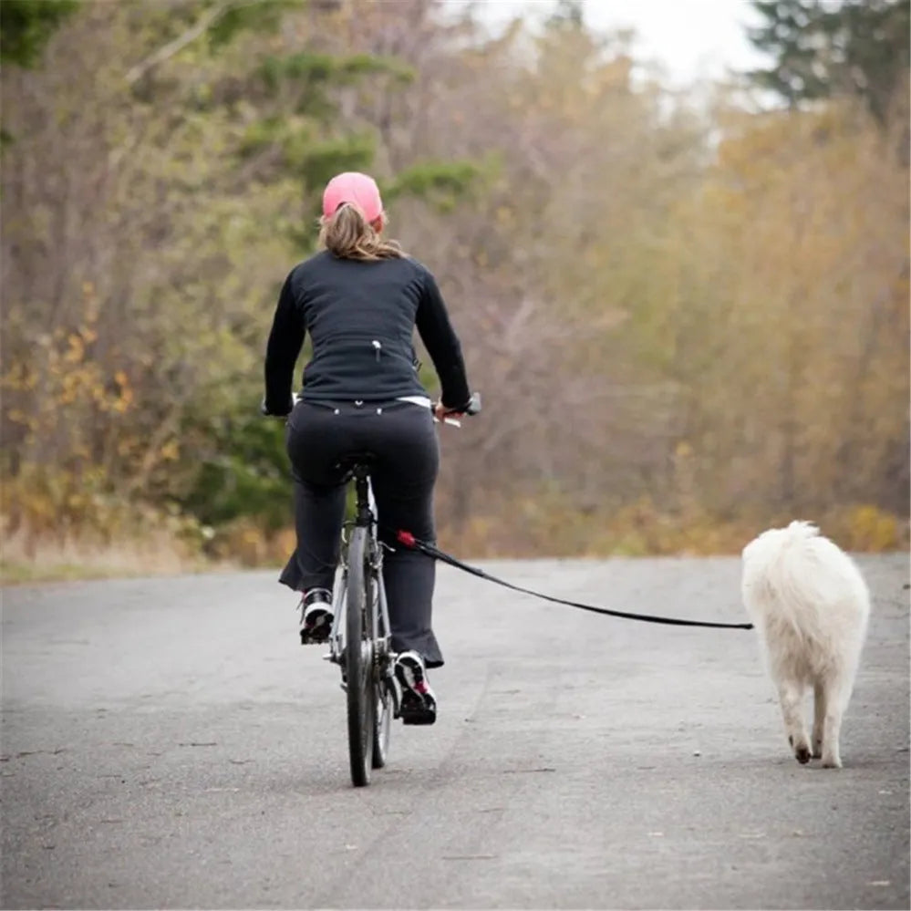 Black bicycle dog walker attachment with detachable dog chain and harness, 24 x 15 inch hard frame, 120kg load capacity