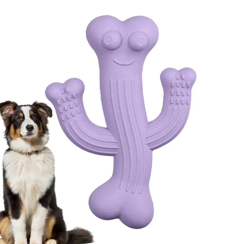 Cactus-shaped dog chew toy in beige, blue, or purple colour, shown in small and large sizes.