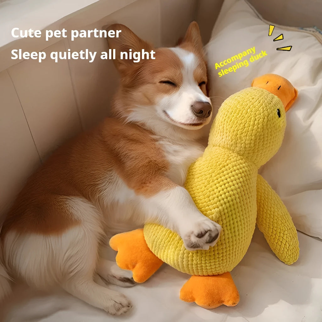 Yellow plush duck dog toy with squeaker for chewing and calming, size option shown
