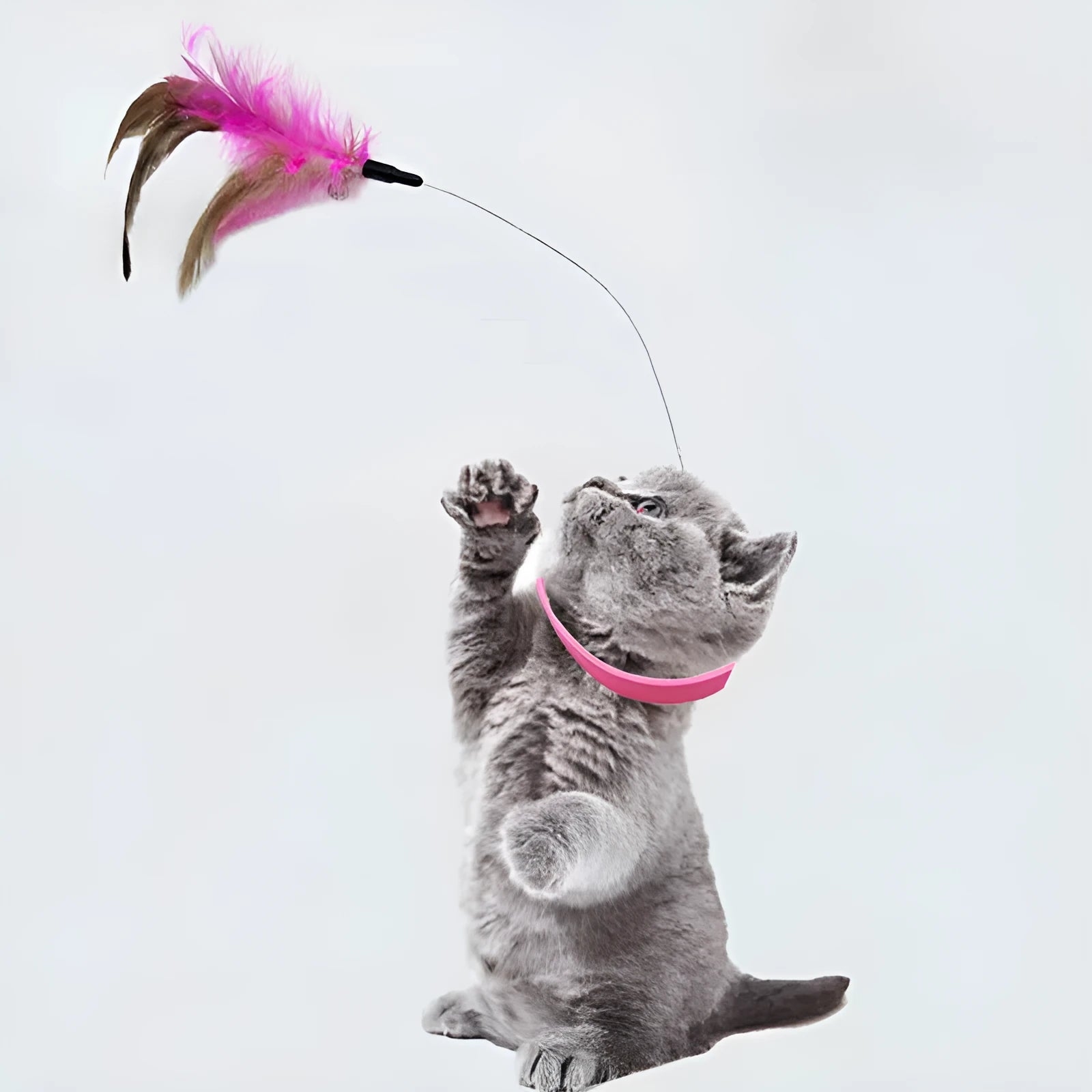 Blue adjustable cat collar with attached silicone teasing wand, feather, and bell for interactive play.