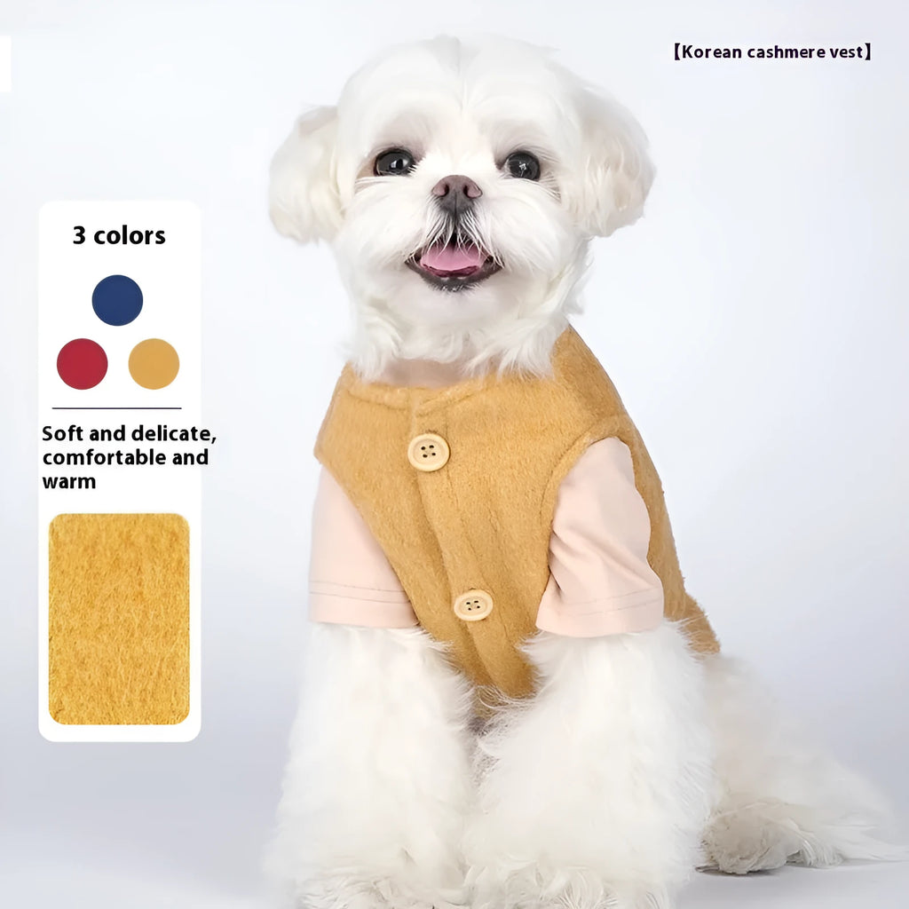 A small dog wearing a blue cotton Korean cashmere vest, a type of casual autumn and winter pet clothing.
