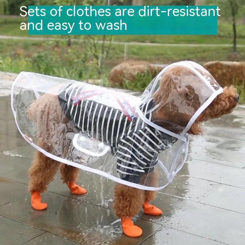Pet raincoat for small dog, plastic waterproof coat in blue, with pull-on design, available in sizes XS to 8XL