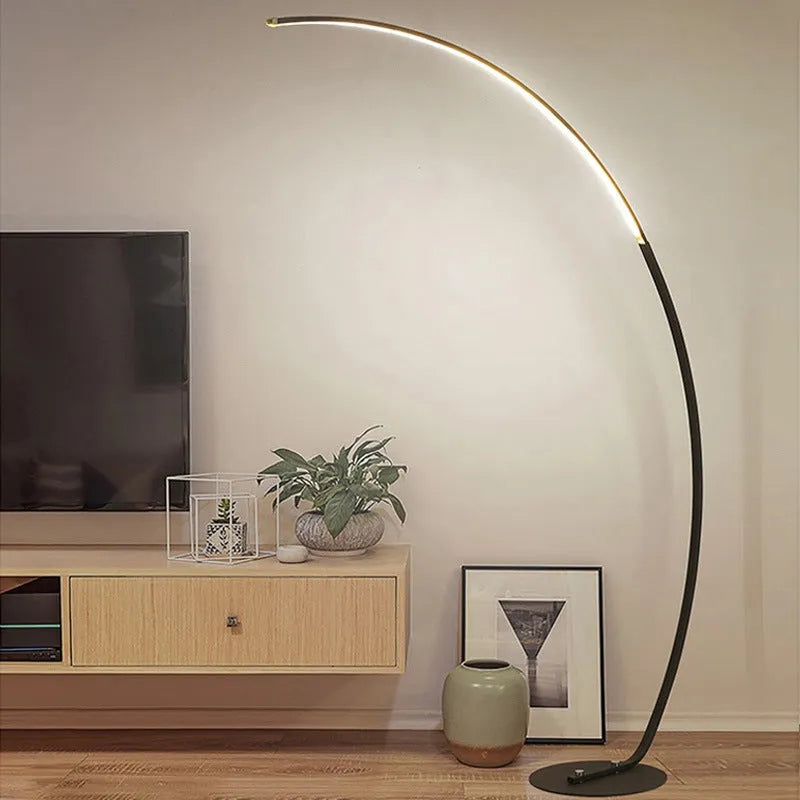 C-type fishing RGB LED floor lamp with aluminium body and 2.4G remote control in black finish