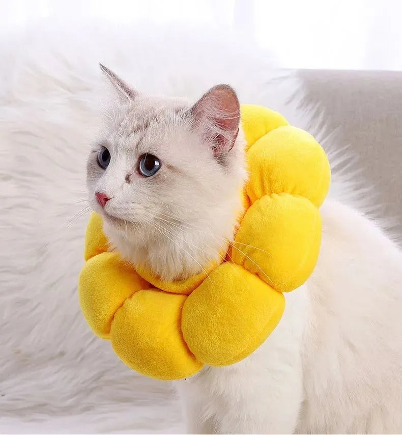 Sunflower patterned cotton recovery collar for a cat or small dog, shown with adjustable hook-and-loop strap.
