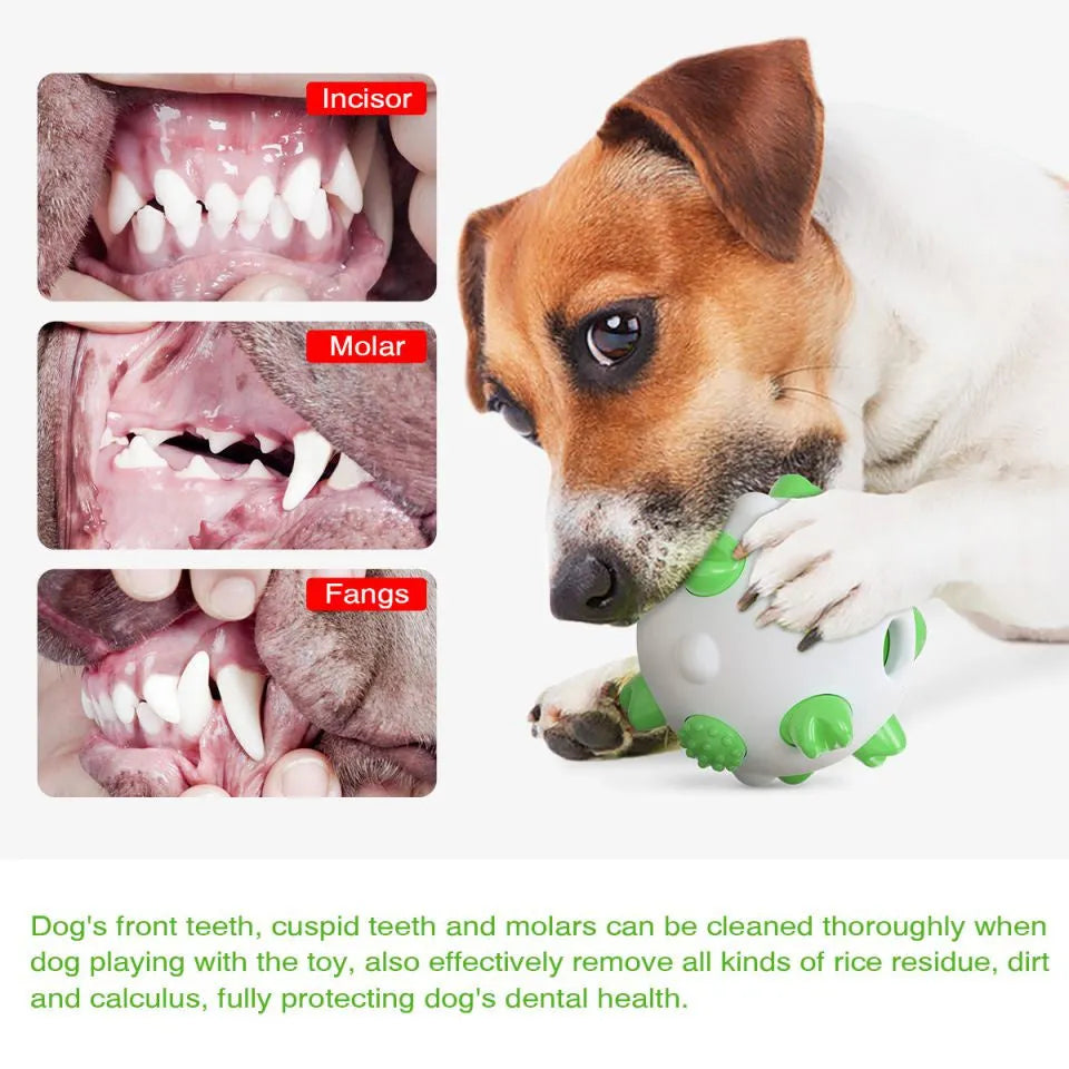Blue green and yellow spherical dog chew toy with textured bumps and a hollow centre hole for treats.