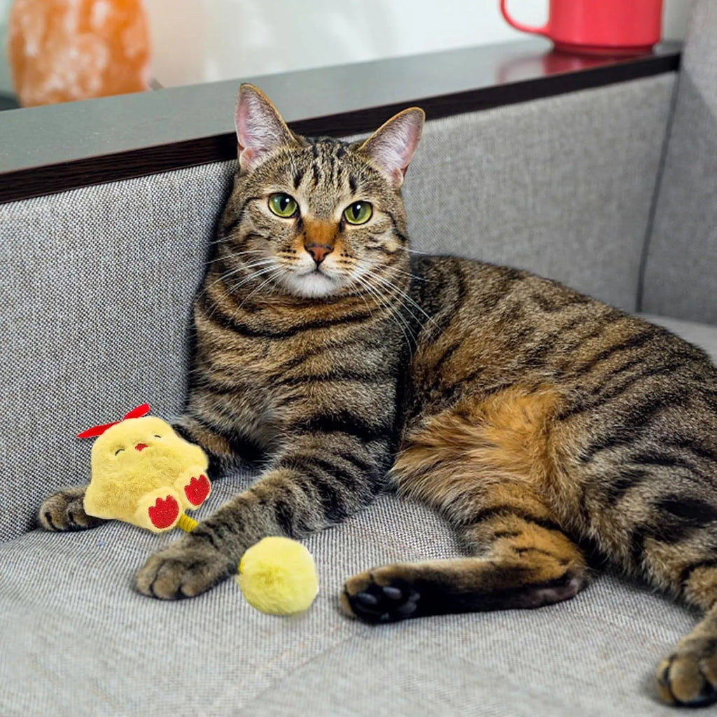 Four-in-one cat interactive toys with silvervine fruit, spring, fuzzy ball, and plush animal designs