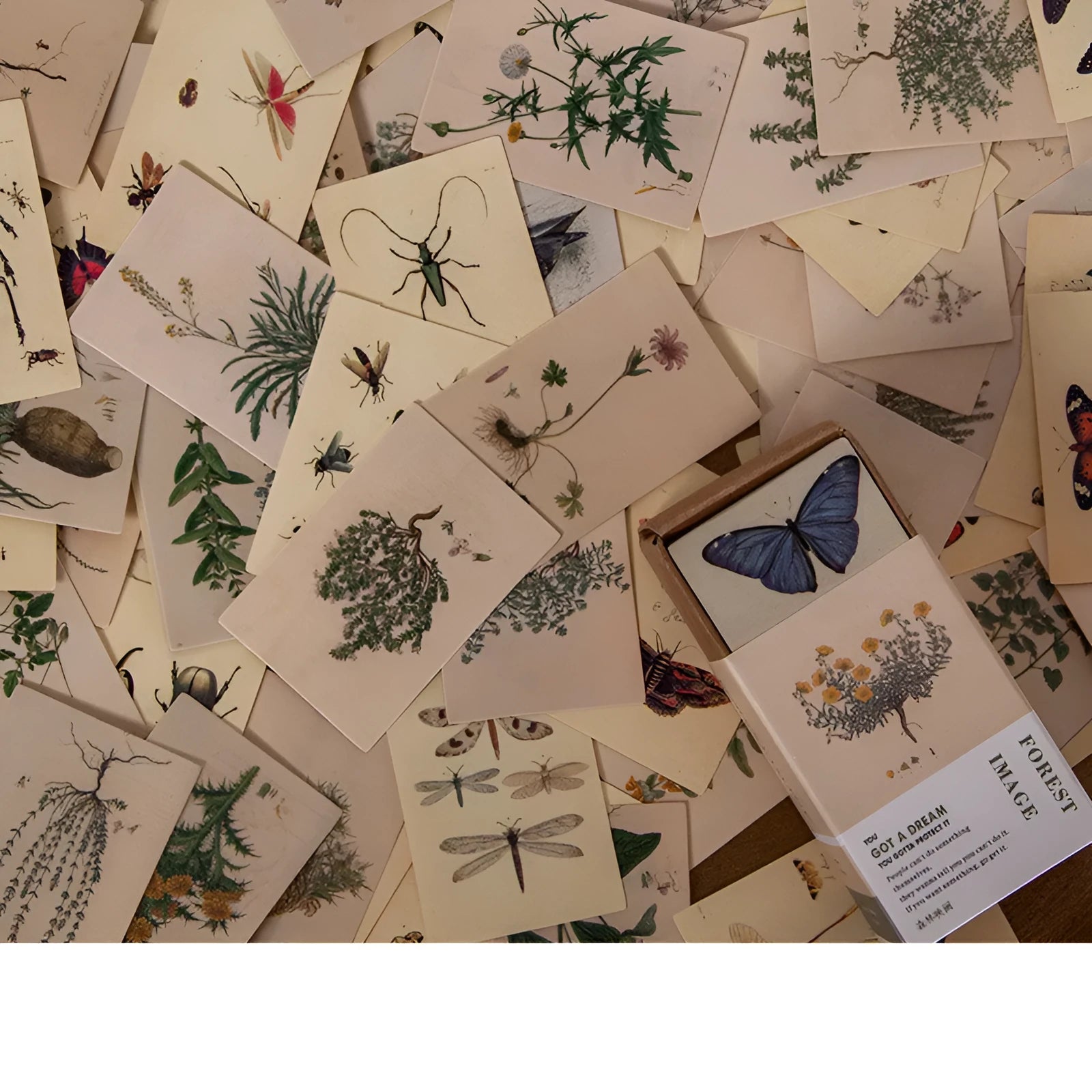 100 retro double-sided mini notes cards in seven vintage colours including antique paper and blossoming flowers designs
