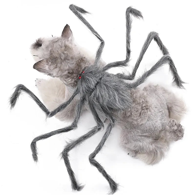 Grey polyester Halloween spider costume for a dog showing spider leg design.