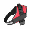 Adjustable dog harness with padded mesh vest in multiple colours, showing D-ring and reflective straps.