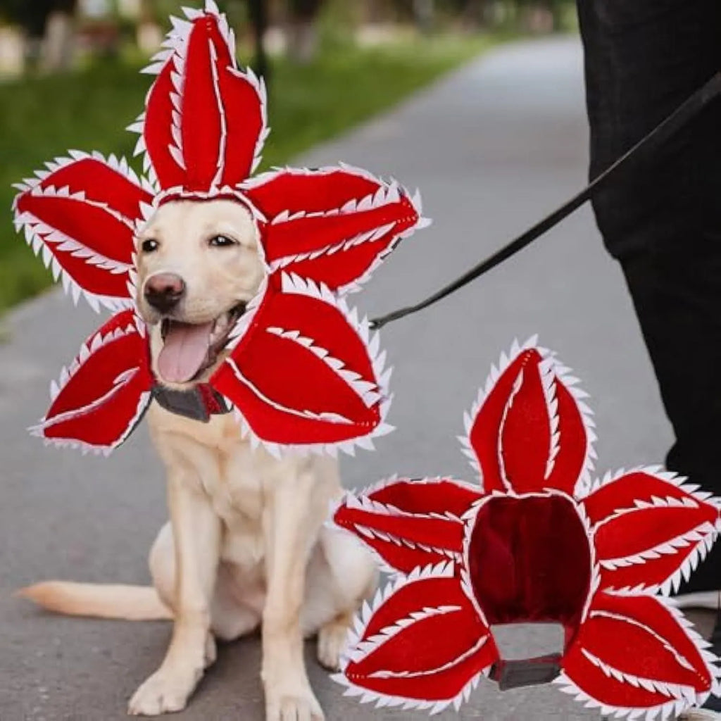 Dog wearing Halloween demon chomper costume with scary headband and fabric flower decoration
