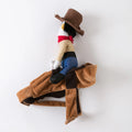 Western denim riding costume dog clothes for spring and autumn seasons in S M L XL sizes