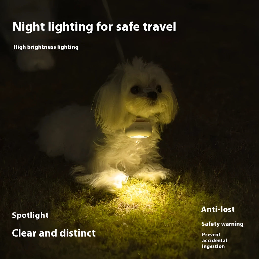 Pet luminous collar hanging lamp ring in four colour variants for small pet visibility