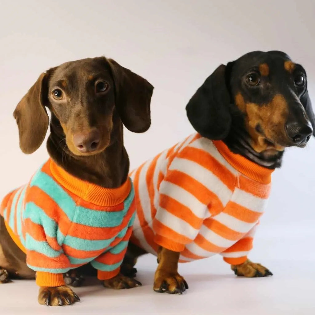 Orange red and white striped round neck casual sweatshirt for a dog or cat on a mannequin.
