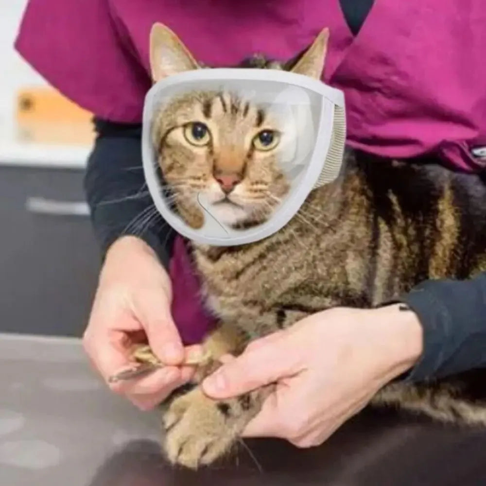 Clear cotton and PVC cat anti-bite muzzle for grooming with size options S and M