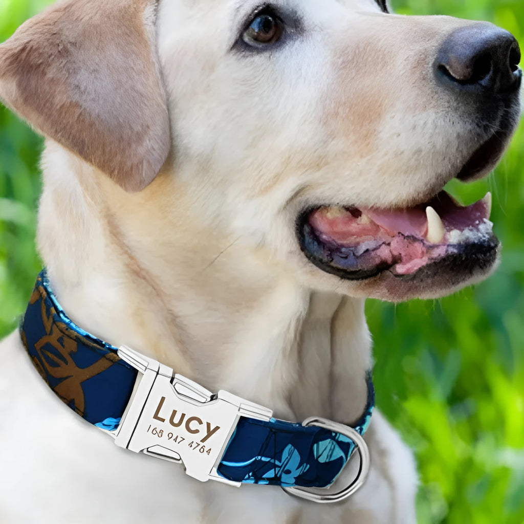 Adjustable dog collar with snap buckle in black, green, and rose red colours.