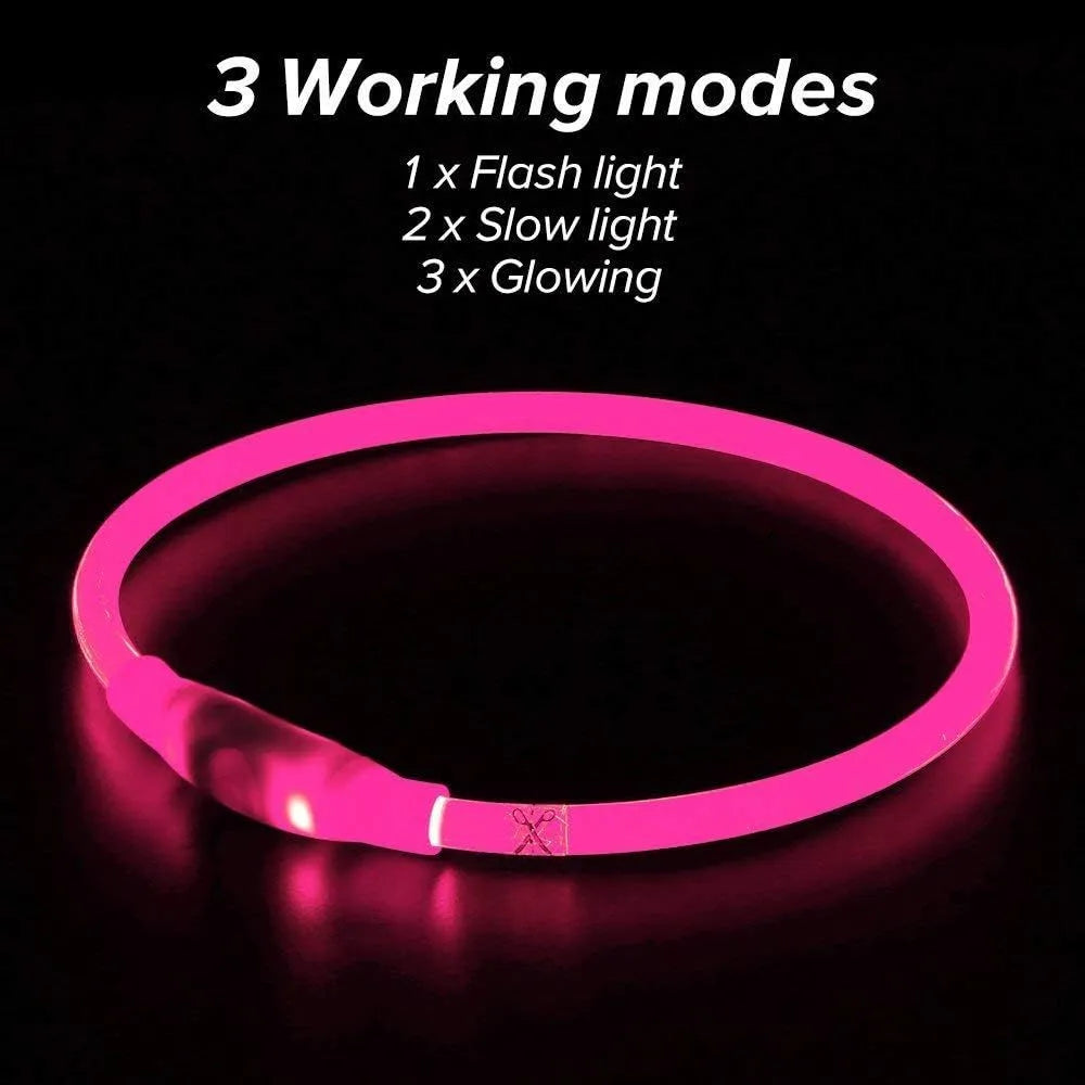 Blue USB rechargeable LED dog collar glowing around dog's neck with adjustable 70cm length