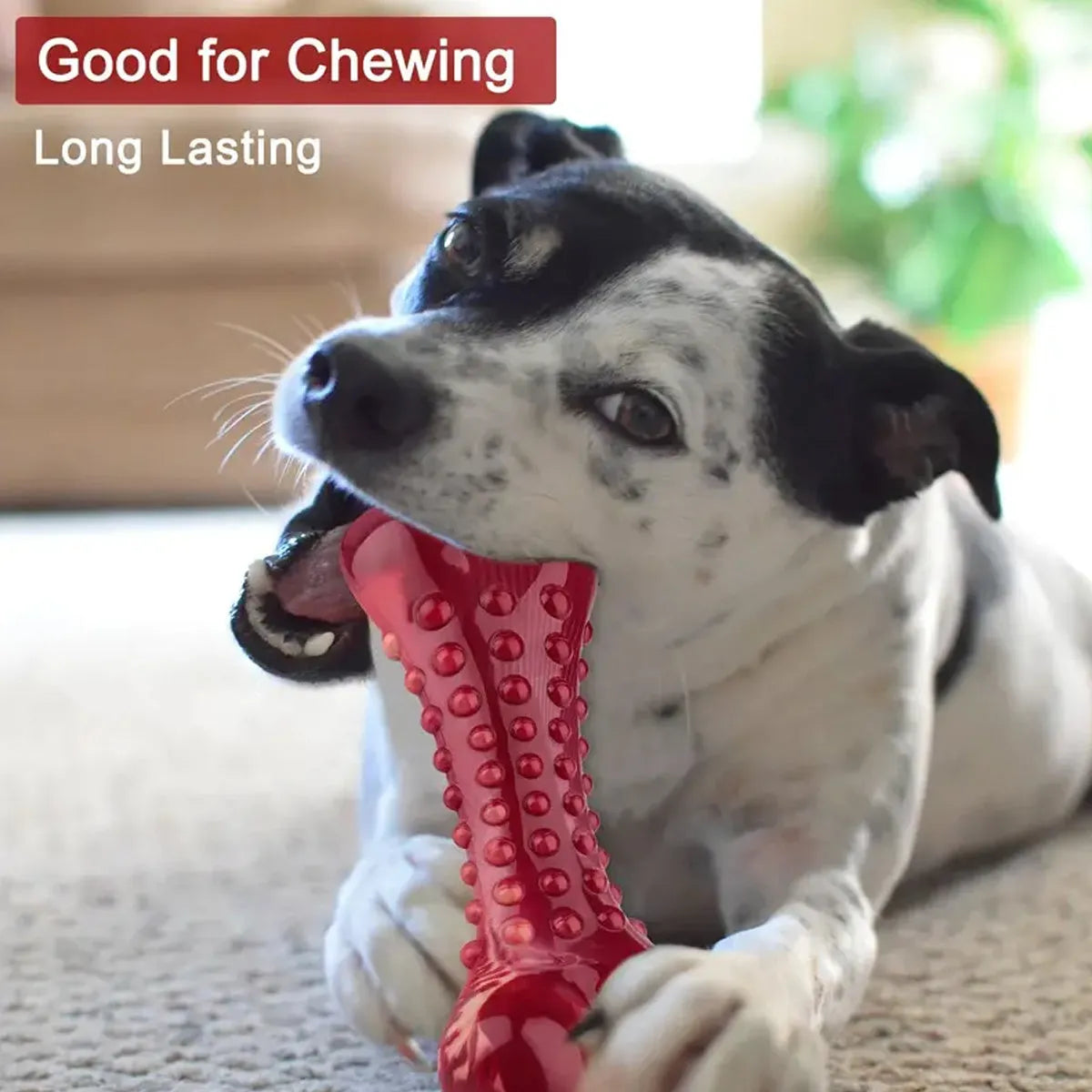Red natural rubber chew toy for aggressive dogs with textured surface