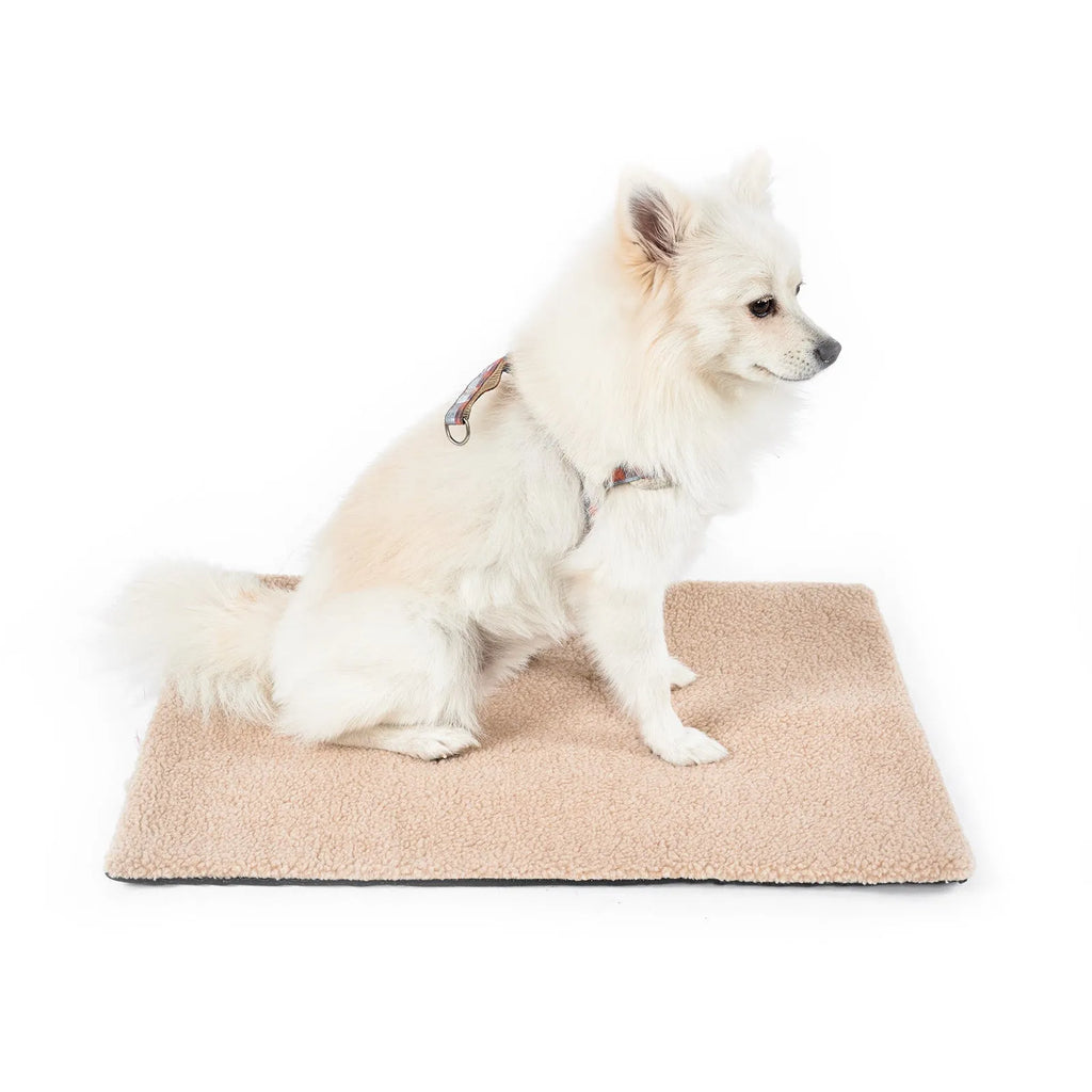 Self-heating plush pet bed pad for cats available in grey, white and yellow colours