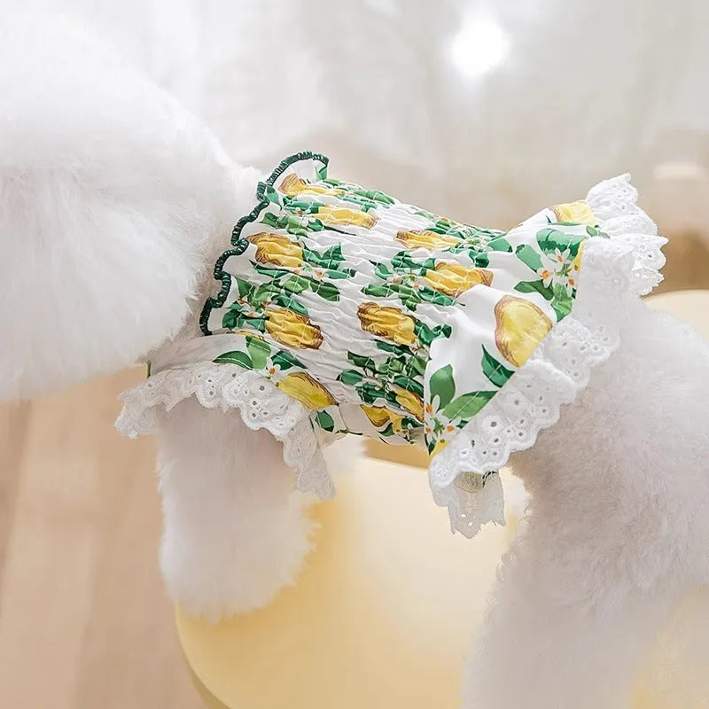 Rock yellow lemon polyester dog dress with breathable straps for small to medium dogs