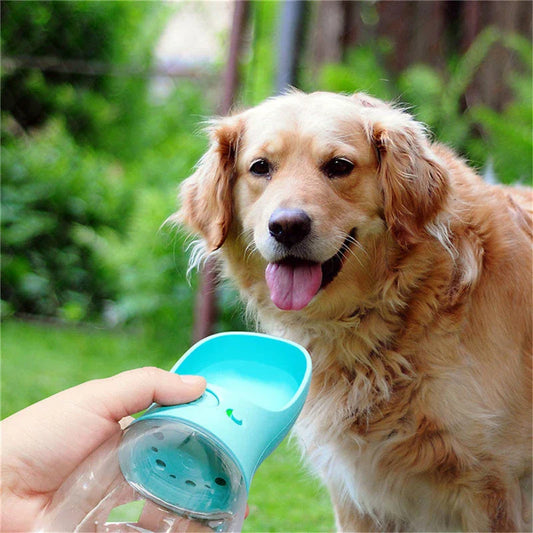 Portable pet water bottle with one-touch button and durable, eco-friendly design for outdoor adventures with your dog