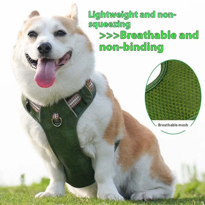 Brown leather dog harness with reflective strips and D-ring attachment on wooden background