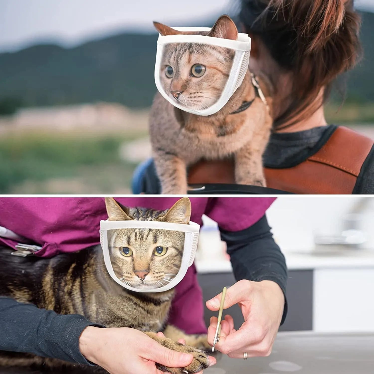 Transparent PVC and cotton muzzle for cats and dogs on a grey background, showing the breathing hole and strap.