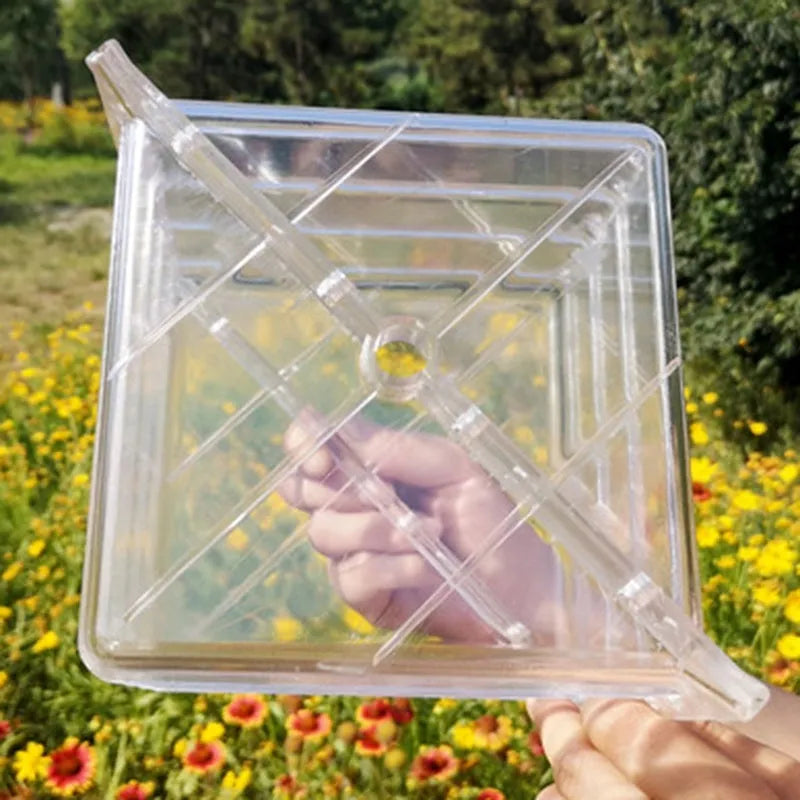 Square plastic watermelon growth mould for fruit shaping measures 13x13x13cm