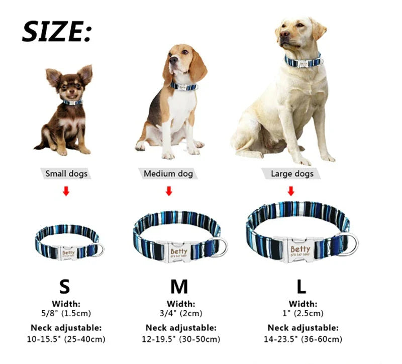 Durable, reflective dog collar with adjustable fit for small, medium, and large breeds. Crafted from polyester and alloy metal with engraved pet information.