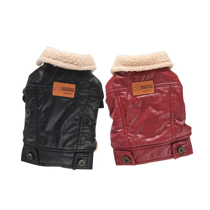 Red British-style PU leather dog coat with fleece lining for autumn and winter warmth on miniature pet