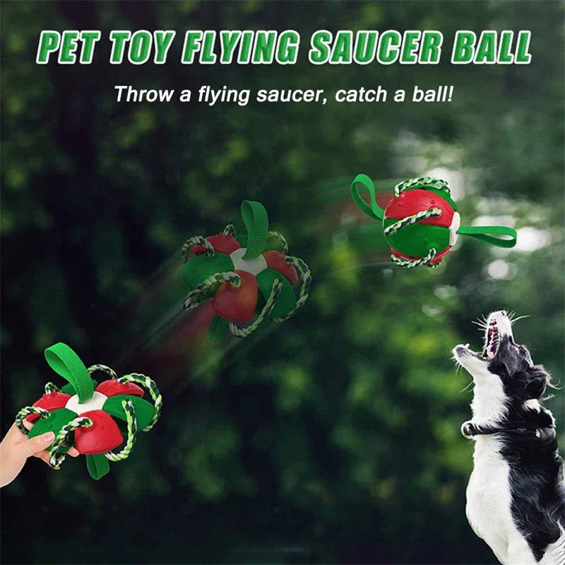 Interactive dog toy that transforms from a ball to a frisbee, engaging your pup's natural instincts and providing endless outdoor fun.