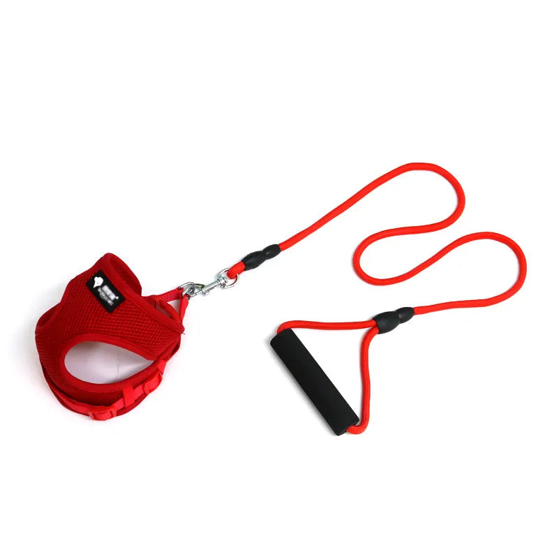 Small dog leash with foam handle and matching adjustable collar in blue, pink, yellow, or red colours