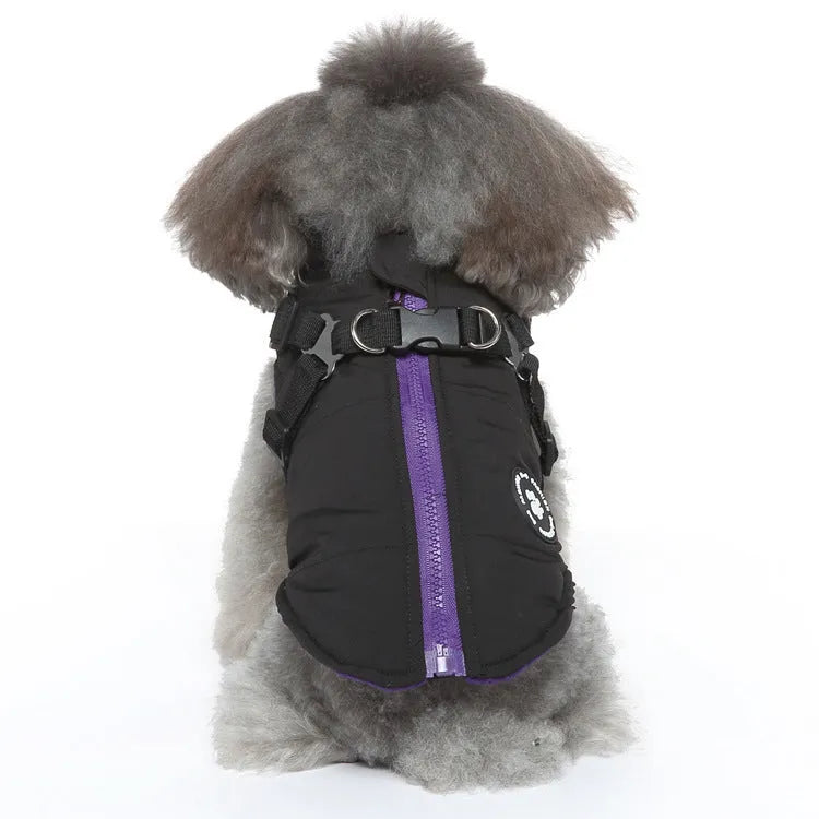 Padded dog winter jacket with a front chest strap shown in blue on a mannequin.