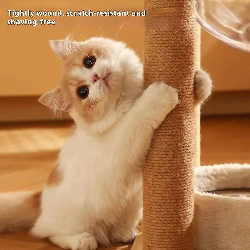 Wood colour cat climbing frame with integrated space capsule for indoor feline activities