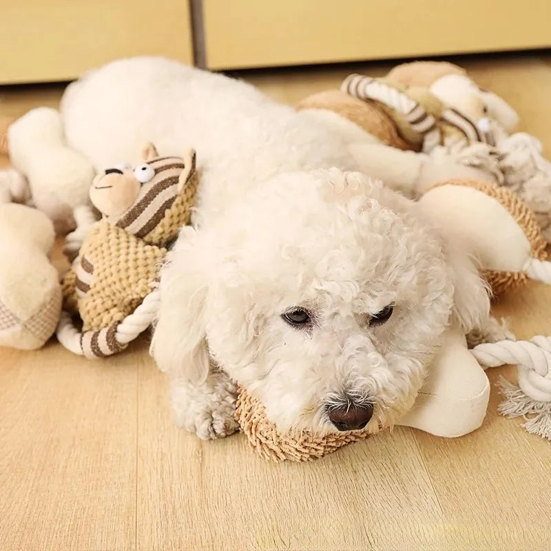 Pet cotton rope toy in bone shape with sound element and canvas covering for dog dental care