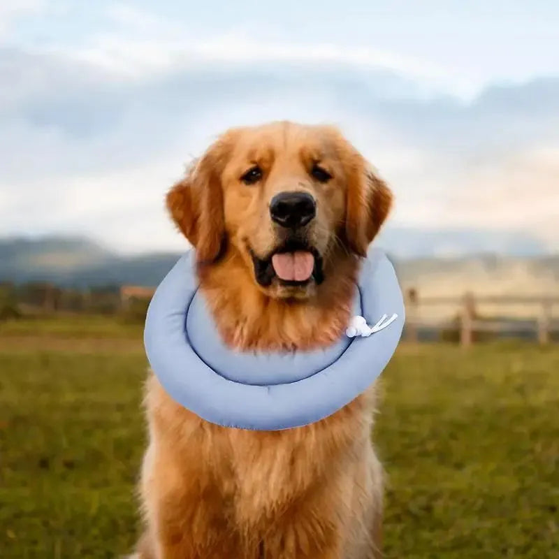 Blue adjustable Elizabethan recovery collar for a dog or cat on a white background