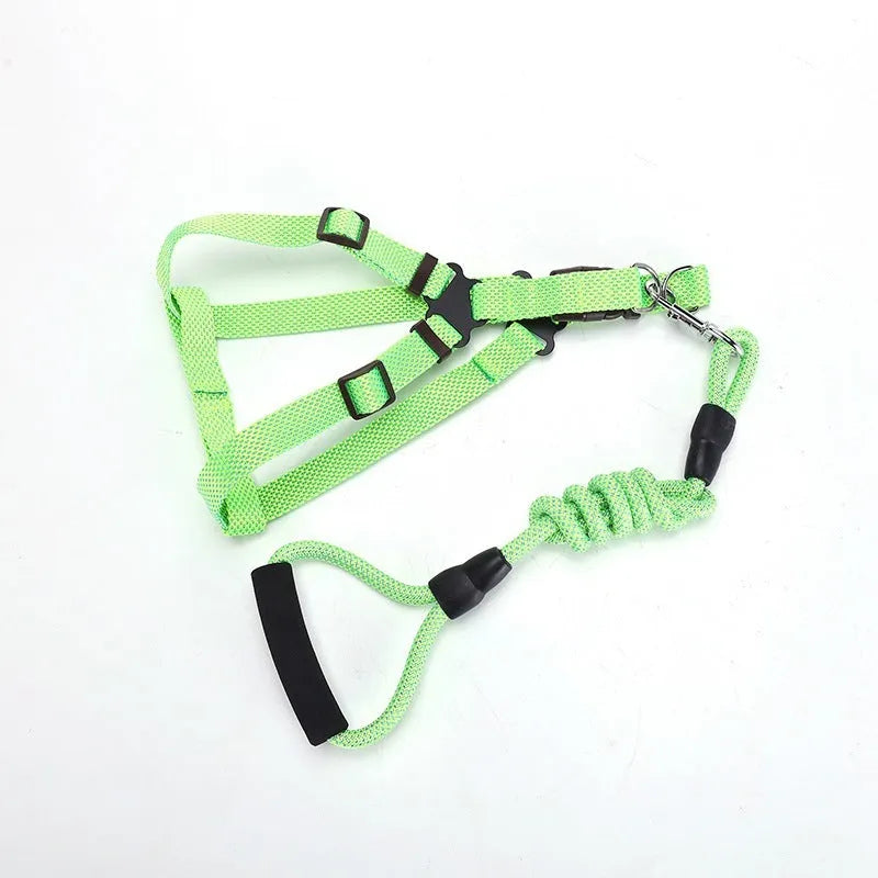 Nylon dog traction belt hand-held rope in blue for small medium large pets walking training