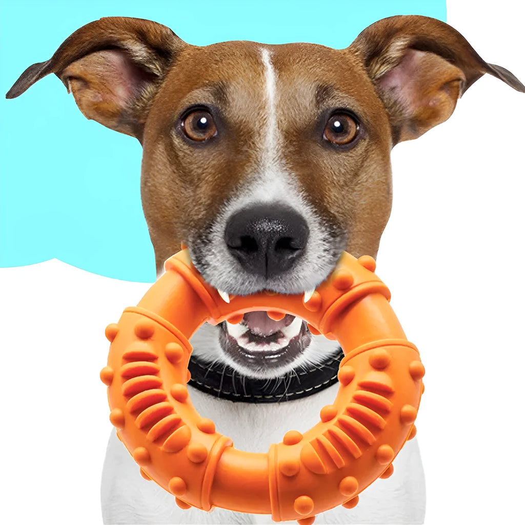 Blue hollow dog fetching stick toy for puppies and large dogs on grass