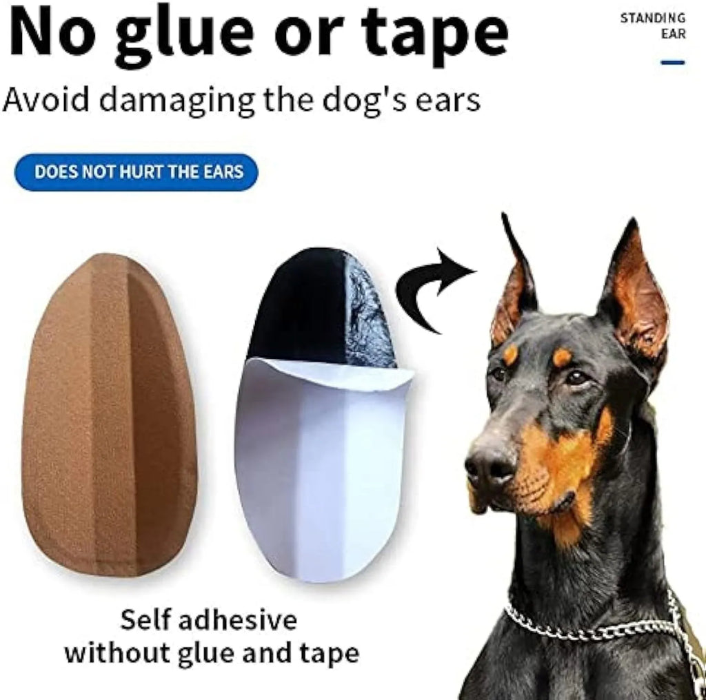 Pack of white dog ear support stickers in various sizes for Doberman, Sheltie and Corgi puppies