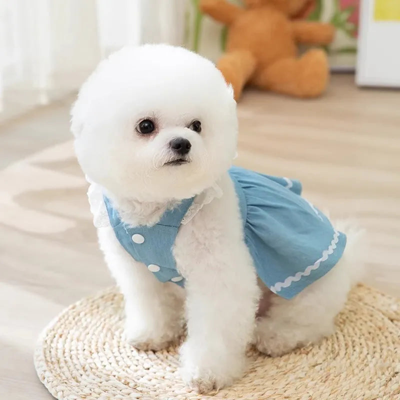 Bondi Blue denim-style dog skirt with a red strawberry appliqué on the front.