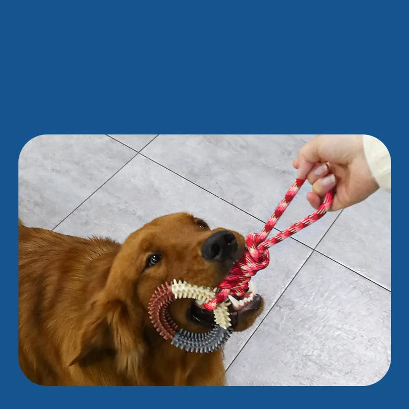 Blue braided rope dog toy with a central knot, shown next to a tape measure indicating its 43cm length.