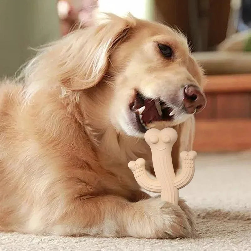 Cactus-shaped dog chew toy in beige, blue, or purple colour, shown in small and large sizes.