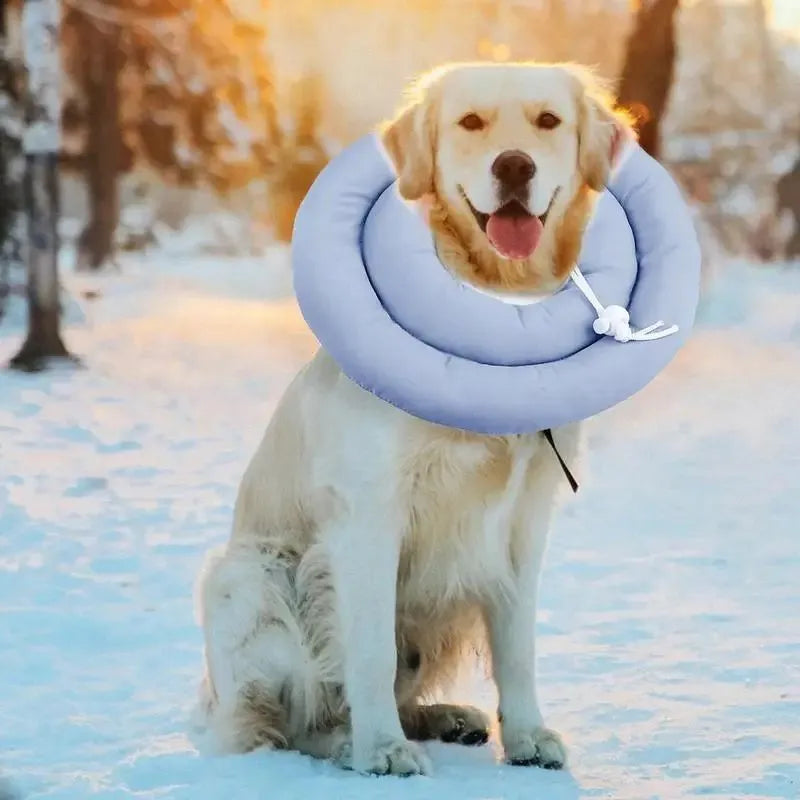 Blue adjustable Elizabethan recovery collar for a dog or cat on a white background