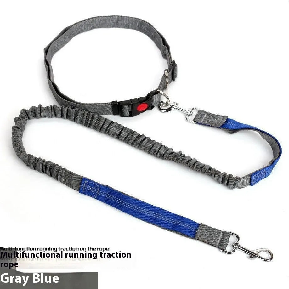 2.5cm wide elastic dog leash with reflective filament for night walking in blue and red colour combination