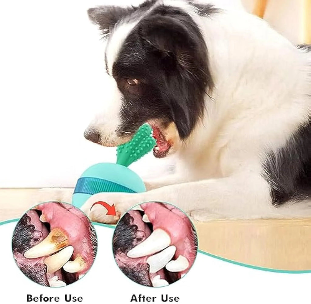Blue and green durable rubber dog treat dispensing ball toy with small holes