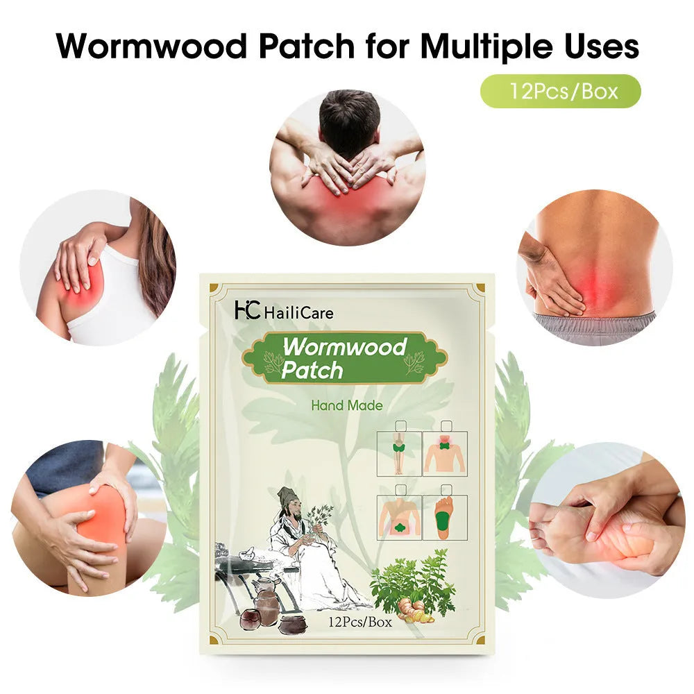 Bag of 12 Chinese mugwort herbal adhesive patches for knee, lumbar, cervical spine and foot application.