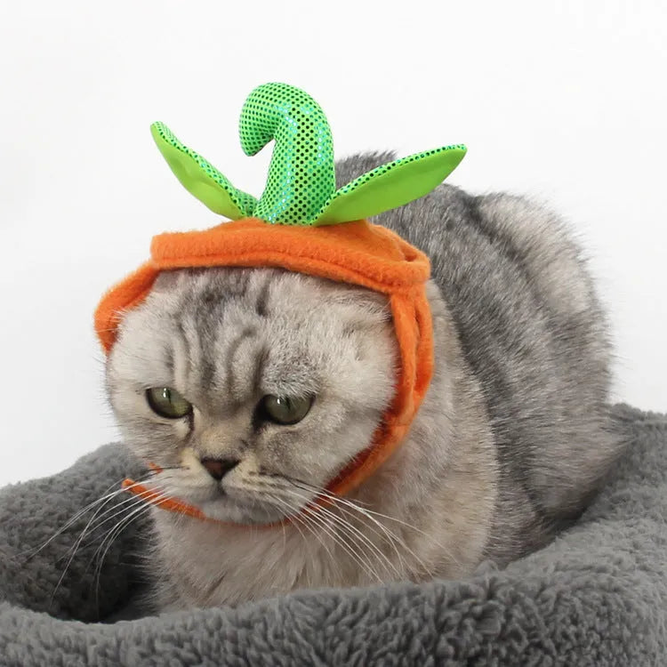 Yellow pumpkin-shaped pet costume with green leaf decoration for cats and small dogs