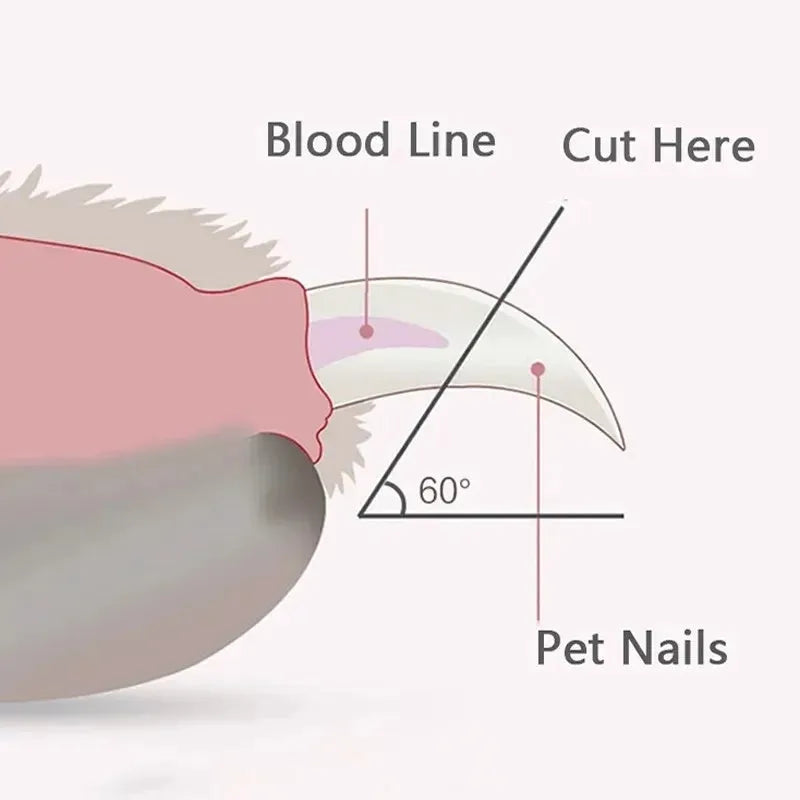 Blue pet nail clippers with LED light on, showing stainless steel cutting blades and non-slip handles.
