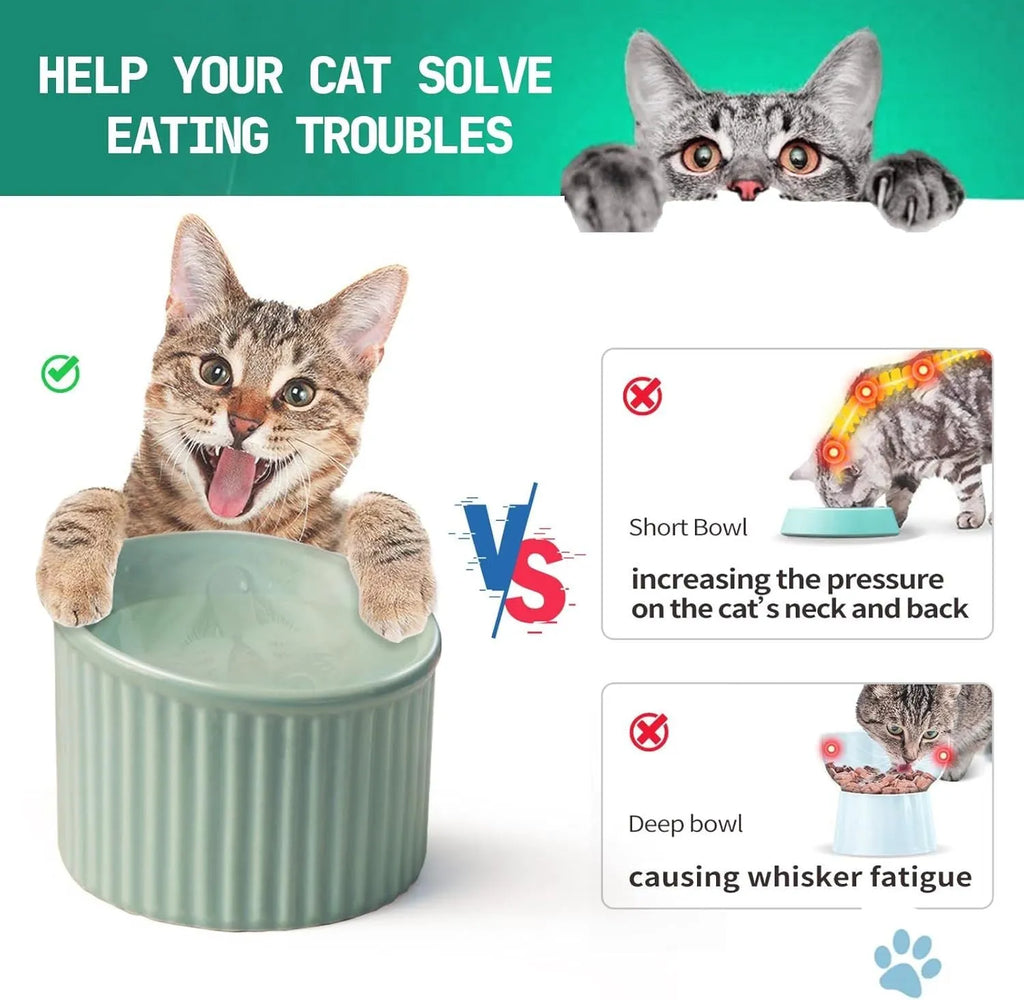 Elevated ceramic cat bowl in green colour with round shape and tilted design for whisker-friendly feeding